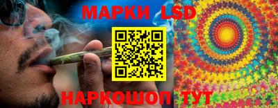 хмурый Обь