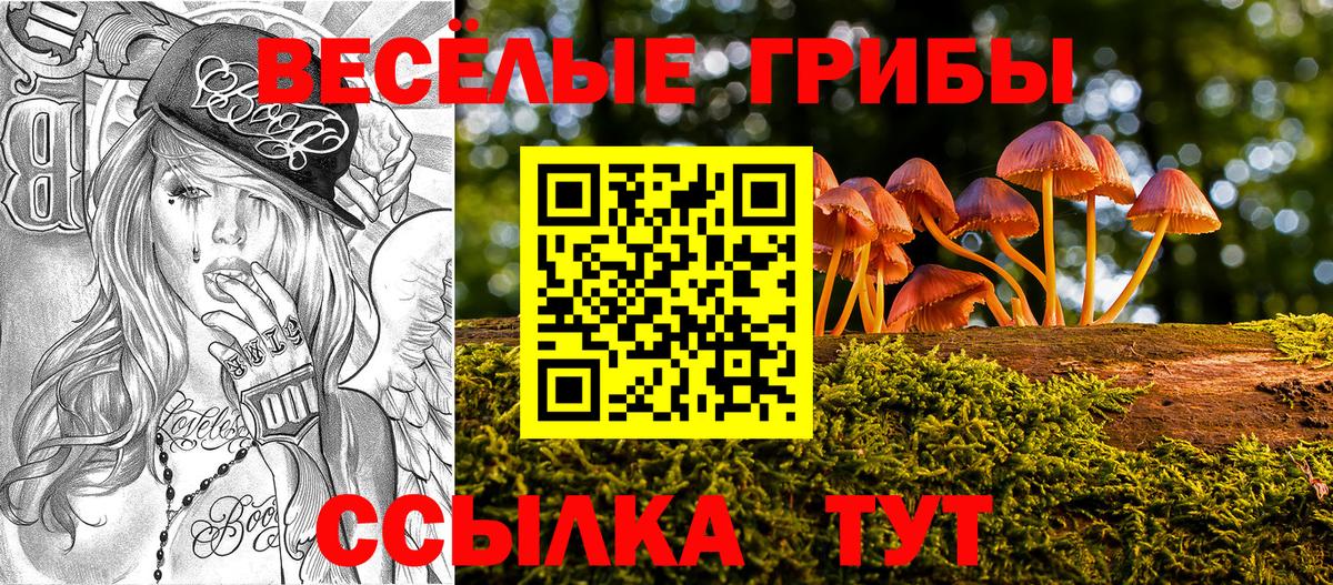 Псилоцибиновые грибы Psilocybine cubensis  Псилоцибиновые грибы Psilocybe  Вход с VPN  Трёхгорный 